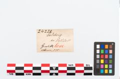 Etikett zu Eisenmesser (NHMW-PRAE-024228)